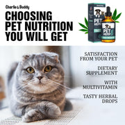Hemp Oil for Dogs & Cats