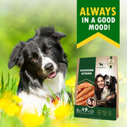 Beloved Pets Chicken Strips Dog Treats – 10.6 oz