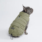 Spark Paws WarmShield Water-Resistant Dog Jacket – Olive