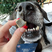 Wild Caught Salmon Dog Treats - Pristine Pet Supply