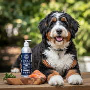 HOLI Icelandic Salmon Oil for Dogs | Extra Virgin - Pristine Pet Supply