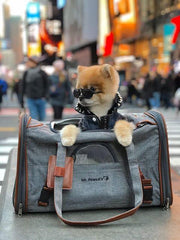 Mr. Peanut's Gold Series V2.0 Pet Carrier