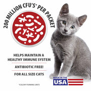 Jeffers BELLY BUDDY Probiotic Supplement Packets for Cats – Multi-Strain Digestive & Immune Support
