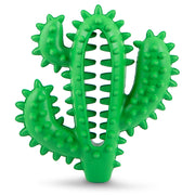 Jeffers Cactus Natural Rubber Dental Chew Toy for Dogs for Healthy Chewing Habits