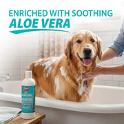 Jeffers Medicated 2% Chlorhexidine Shampoo for Dogs, Cats & Horses - Pristine Pet Supply