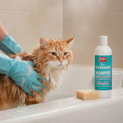 Jeffers Medicated 2% Chlorhexidine Shampoo for Dogs, Cats & Horses - Pristine Pet Supply