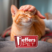 Jeffers Pet Vanilla Walnut Exfoliating Dog & Cat Conditioning Shampoo