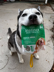 Freeze-Dried Beef Lung for Dogs