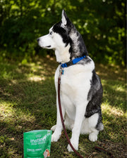 Freeze-Dried Beef Lung for Dogs