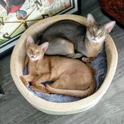 K&H Thermo-Kitty Heated Cat Bed - Pristine Pet Supply