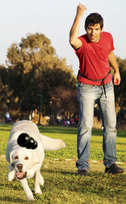 KONG Extreme Treat-Stuffing Dog Toy for Power Chewers