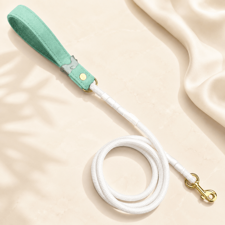 Luxe Collection Leashes - Pristine Pet Supply