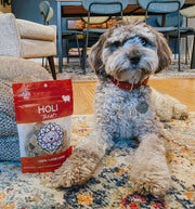 Lamb Liver Dog Treats - Freeze Dried - Single Ingredient - Pristine Pet Supply