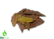 The Bio Dude Reptile Decor – Colombian Mango Leaf Litter, 20 Count