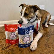 Wild Caught Salmon Dog Treats - Pristine Pet Supply