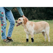 NeoAlly 3-in-1 Front Leg Dog Splint Brace: Rigid & Spring Inserts, Safety Reflective Straps (Pair) - Pristine Pet Supply