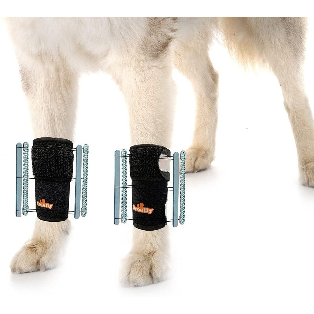 NeoAlly 3-in-1 Front Leg Dog Splint Brace: Rigid & Spring Inserts, Safety Reflective Straps (Pair) - Pristine Pet Supply