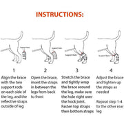 NeoAlly 3-in-1 Short Rear Leg Hock Brace for Smaller Dogs with Rigid and Spring Inserts | Safety Reflective Straps [Short