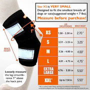 NeoAlly 3-in-1 Short Rear Leg Hock Brace for Smaller Dogs with Rigid and Spring Inserts | Safety Reflective Straps [Short