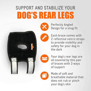 NeoAlly 3-in-1 Short Rear Leg Hock Brace for Smaller Dogs with Rigid and Spring Inserts | Safety Reflective Straps [Short