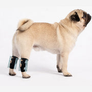 NeoAlly 3-in-1 Short Rear Leg Hock Brace for Smaller Dogs with Rigid and Spring Inserts | Safety Reflective Straps [Short