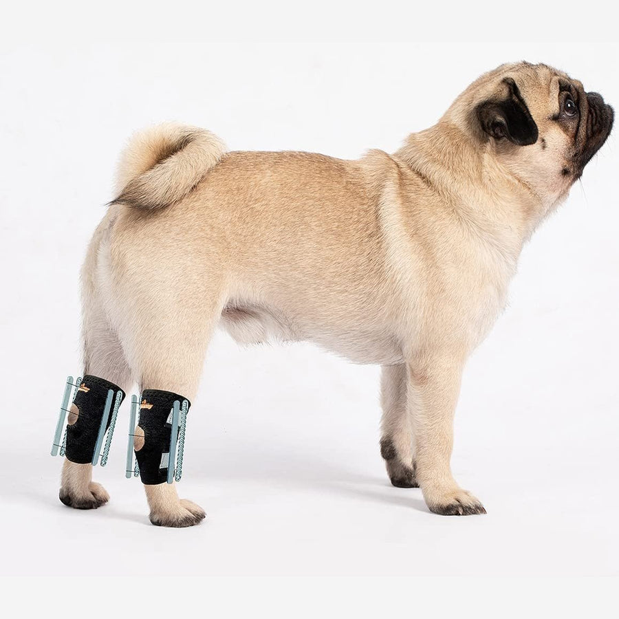 NeoAlly 3-in-1 Short Rear Leg Hock Brace for Smaller Dogs with Rigid and Spring Inserts | Safety Reflective Straps [Short