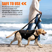 NeoAlly 5-in-1 Sturdy Dog Lift Harness Full Body Support - Pristine Pet Supply