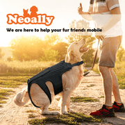 NeoAlly Dog Back Brace for Dogs with Inserts for Extra Support - Pristine Pet Supply