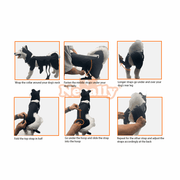 NeoAlly Dog Back Brace for Dogs with Inserts for Extra Support - Pristine Pet Supply