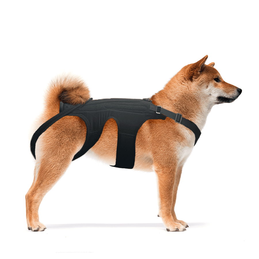 NeoAlly Dog Back Brace for Dogs with Inserts for Extra Support - Pristine Pet Supply