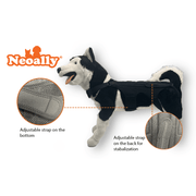 NeoAlly Dog Back Brace for Dogs with Inserts for Extra Support - Pristine Pet Supply