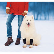 NeoAlly Dog Front Leg Braces: Enhance Safety with Reflective Straps (Pair)