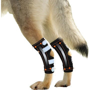 NeoAlly Rear Leg Hock Brace with Spring Strips – Long, Pair - Pristine Pet Supply