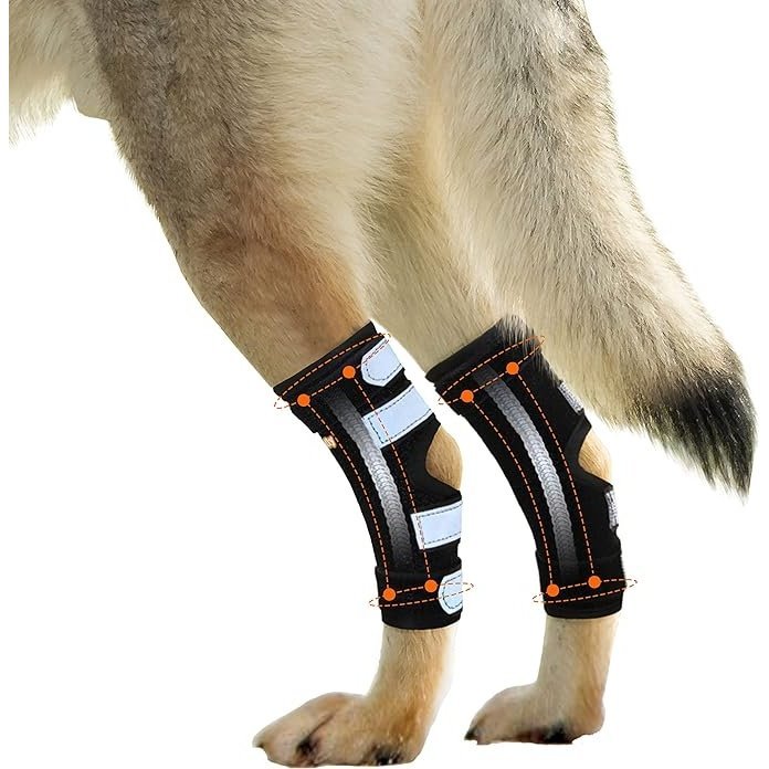 NeoAlly Rear Leg Hock Brace with Spring Strips – Long, Pair - Pristine Pet Supply