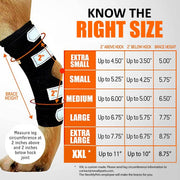 NeoAlly Rear Leg Hock Brace with Spring Strips – Long, Pair - Pristine Pet Supply