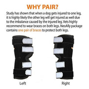 NeoAlly Rear Leg Hock Brace with Spring Strips – Long, Pair - Pristine Pet Supply