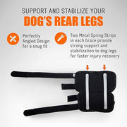 NeoAlly Rear Leg Hock Brace with Spring Strips – Long, Pair - Pristine Pet Supply