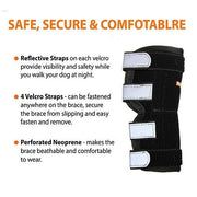 NeoAlly Rear Leg Hock Brace with Spring Strips – Long, Pair - Pristine Pet Supply