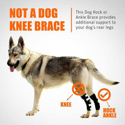 NeoAlly Rear Leg Hock Brace with Spring Strips – Long, Pair - Pristine Pet Supply