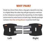 NeoAlly Dog Rear Leg Hock Brace with Safety Reflective Straps for Small Dogs [Short Version]