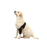 NeoAlly Elbow & Shoulder Brace for Dogs & Cats - Pristine Pet Supply