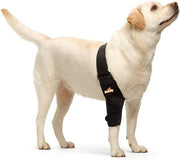 NeoAlly Elbow & Shoulder Brace for Dogs & Cats - Pristine Pet Supply