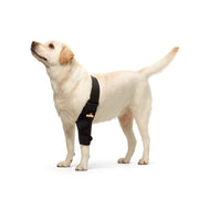 NeoAlly Elbow & Shoulder Brace for Dogs & Cats - Pristine Pet Supply
