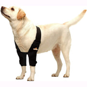 NeoAlly Elbow & Shoulder Brace for Dogs & Cats - Pristine Pet Supply