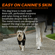 NeoAlly Elbow and Shoulder Brace with Spring Inserts for Dogs and Cats - Enhance Pet Mobility with Optimal Support - Pristine