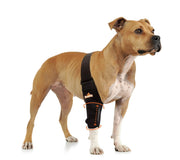 NeoAlly Elbow and Shoulder Brace with Spring Inserts for Dogs and Cats - Enhance Pet Mobility with Optimal Support - Pristine