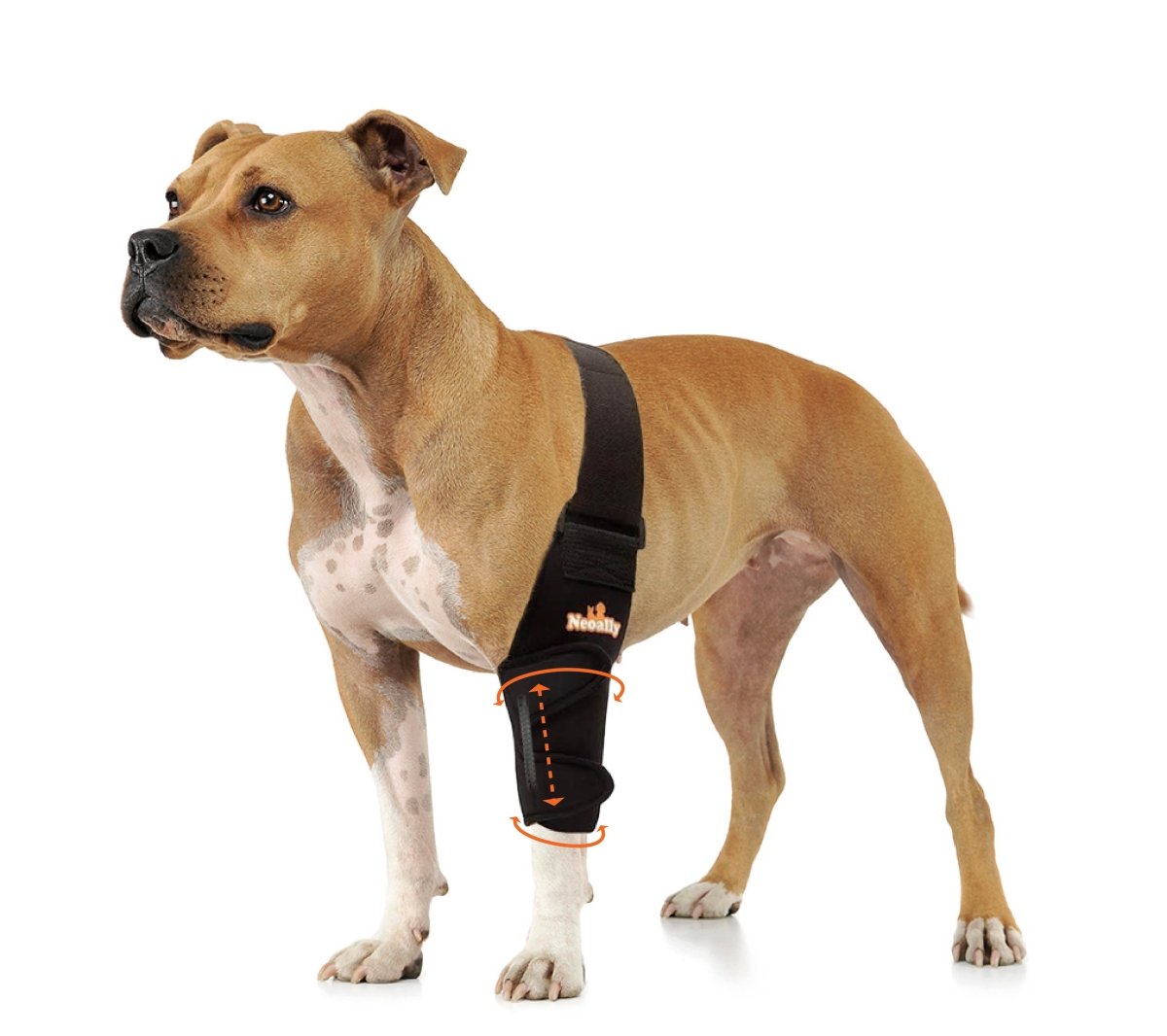 NeoAlly Elbow and Shoulder Brace with Spring Inserts for Dogs and Cats - Enhance Pet Mobility with Optimal Support - Pristine