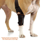 NeoAlly Elbow and Shoulder Brace with Spring Inserts for Dogs and Cats - Enhance Pet Mobility with Optimal Support - Pristine
