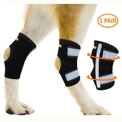 NeoAlly Rear Leg Hock Brace - Metal Spring Strips for Small Dogs [Short Version] (Pair) - Pristine Pet Supply