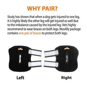 NeoAlly Rear Leg Hock Brace - Metal Spring Strips for Small Dogs [Short Version] (Pair) - Pristine Pet Supply